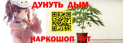 прущие грибы Пенза