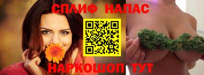 прущие грибы Пенза