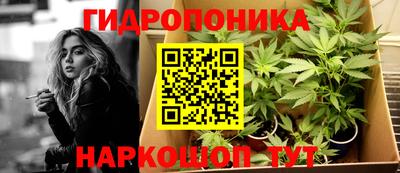 прущие грибы Пенза