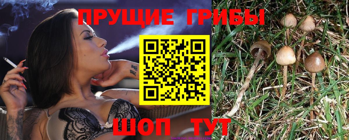 Псилоцибиновые грибы мухоморы  Вход с VPN  Орск 